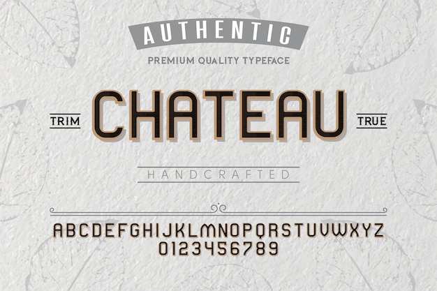 Type De Chateau Pour Les étiquettes Et Les Différents Dessins De Caractères