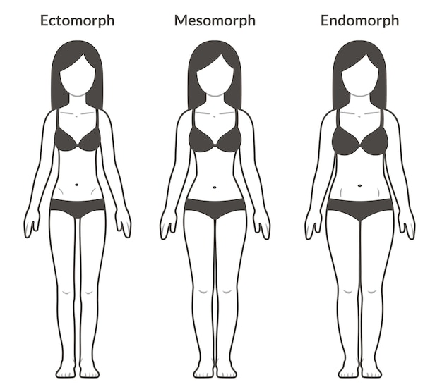 Vecteur types de corps féminins ectomorphe mésomorphe et endomorphe