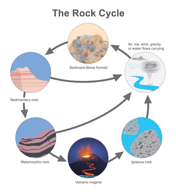 Vecteur les types de diagramme du cycle de la roche d'une pierre dans le cycle d'origine naturelle xa