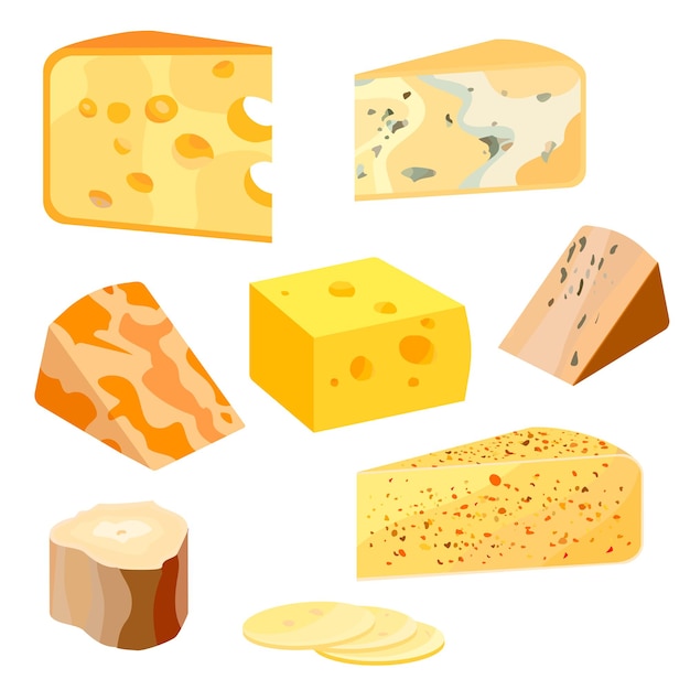 Types de fromages. Icônes d'illustration vectorielle réaliste de style plat moderne isolés sur fond blanc.