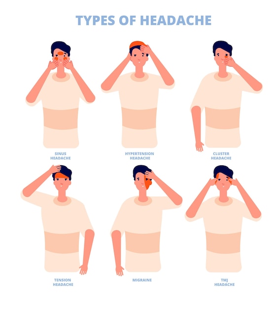 Types De Maux De Tête Zones Nerveuses Malades Différentes Douleurs Isolées De La Tête Et Causes Affiche De L'hôpital Avertissement Sinusite Maladie Infographie Vectorielle Totale