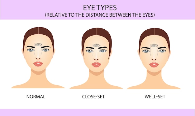 Types D'yeux En Relation Avec L'emplacement Entre Les Yeux