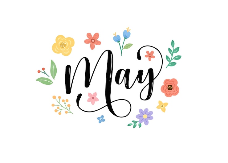 Vecteur typographie de lettrage du mois de mai dessiné à la main pour la couverture affiche bannière dépliant modèle de médias sociaux