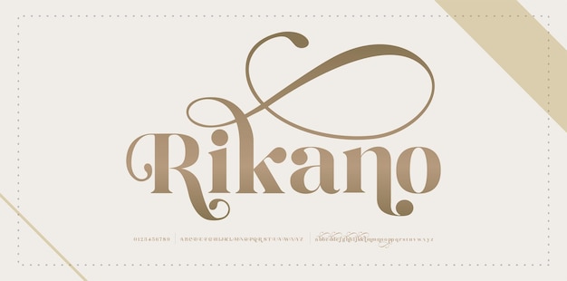 Typographie luxe classique décoratif mariage vintage rétro concept lettres police et numéro Alphabet élégant lettrage polices serif illustration vectorielle