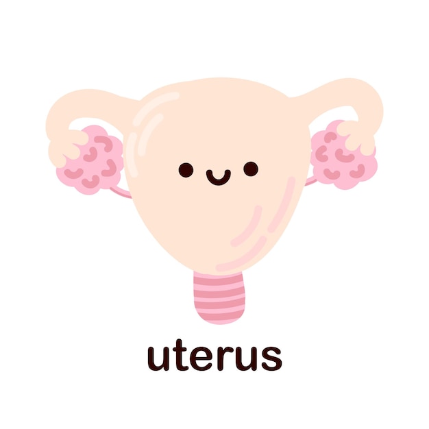 Utérus kawaii. Organes internes humains mignons. Dessins d'enfants joyeux dans un style plat. Anatomie.