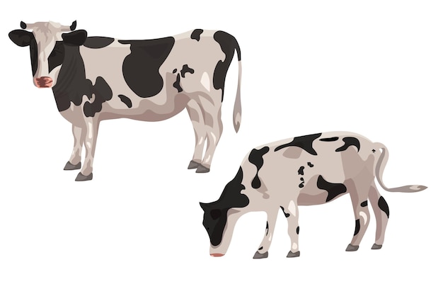 Vecteur vache sur fond blanc vector graphicsx9