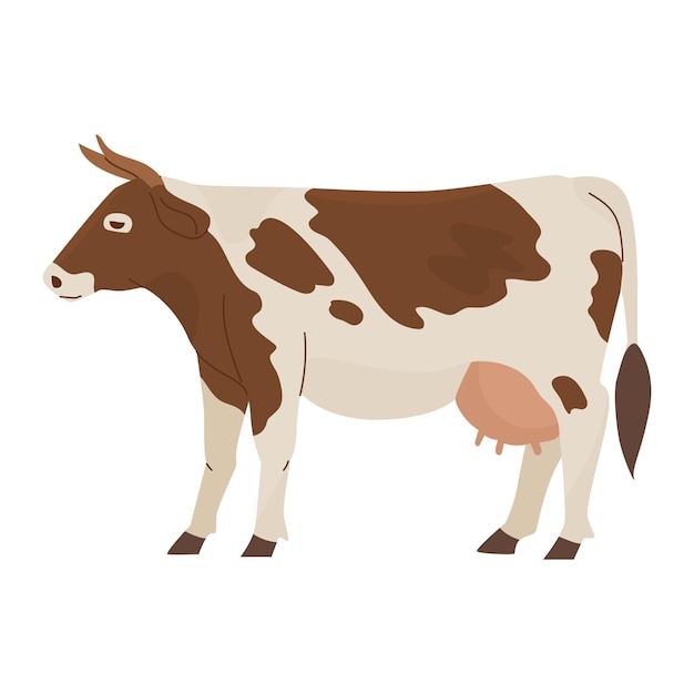 Vache tachetée domestique avec un pis plein de lait Bovins de ferme Produits laitiers et carnés Illustration vectorielle Objet isolé sur fond blanc