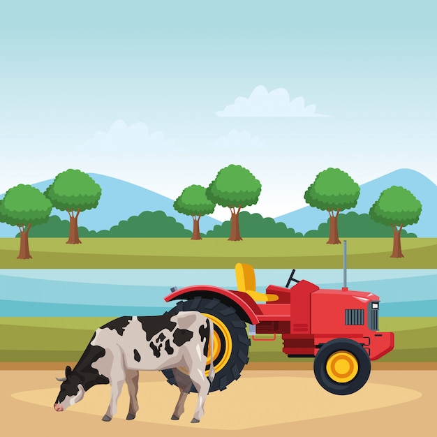 Vache Et Tracteur