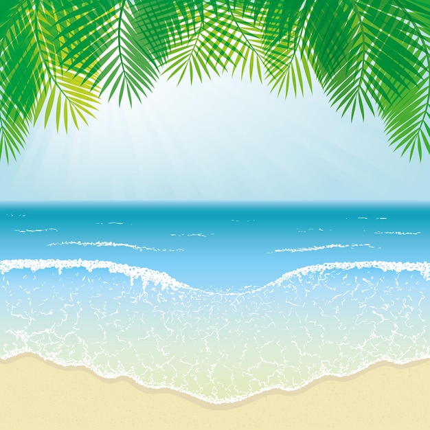 Les vagues de la plage et les feuilles de palmier