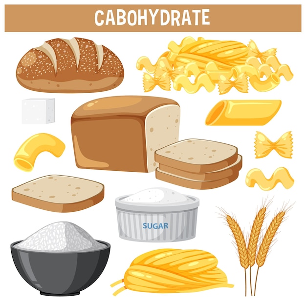 Vecteur variété d'aliments glucidiques