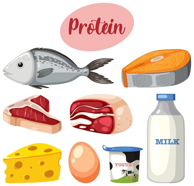 Variété d'aliments protéinés avec texte