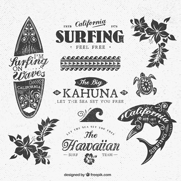 Variété Des Insignes De Surf