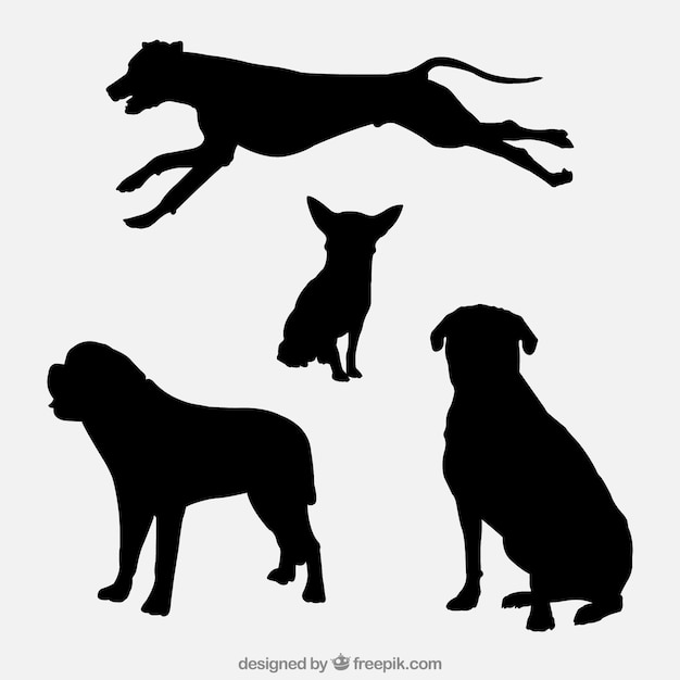 Variété De Silhouettes De Chiens