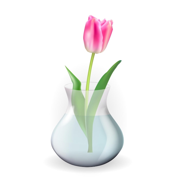 Vase Transparent En Verre 3d Réaliste Avec Fleur De Tulipes. élément De Design Pour Affiche, Carte De Voeux.