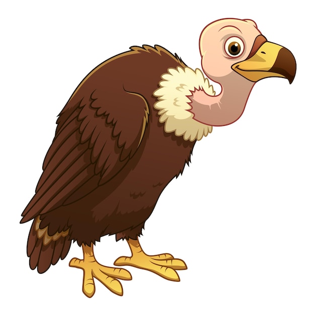 Vecteur vautour, dessin animé, animal, illustration