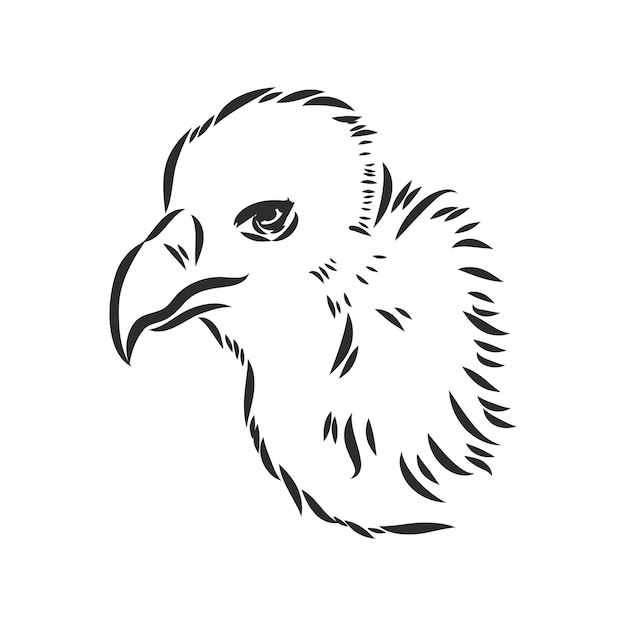 Vautour fauve Oiseau de proie de la forêt sauvage Croquis dessinés à la main Style graphique Patch de mode