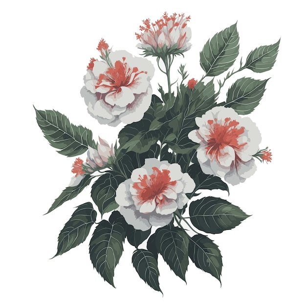 Vecteur vecteur aquarelle begonia sutherlandii clipart floral