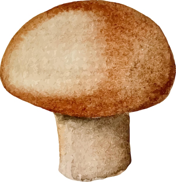 Vecteur Aquarelle Champignon