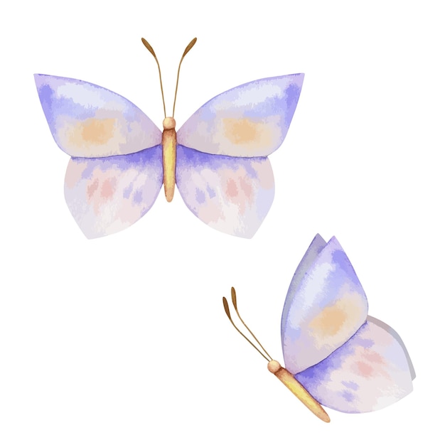 Vecteur Aquarelle Papillon, Illustration Colorée. Couleurs Violettes. Fond Blanc Isolé