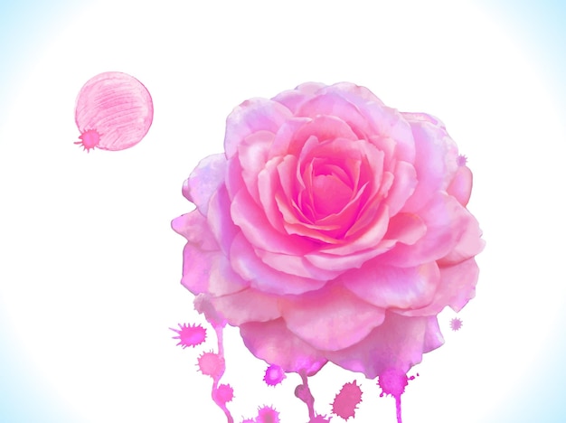 Vecteur Aquarelle Rose Rose Illustration Vectorielle Aquarelle Rose Rose