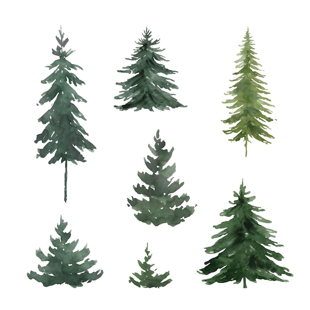 Vecteur aquarelle sertie de sapins verts
