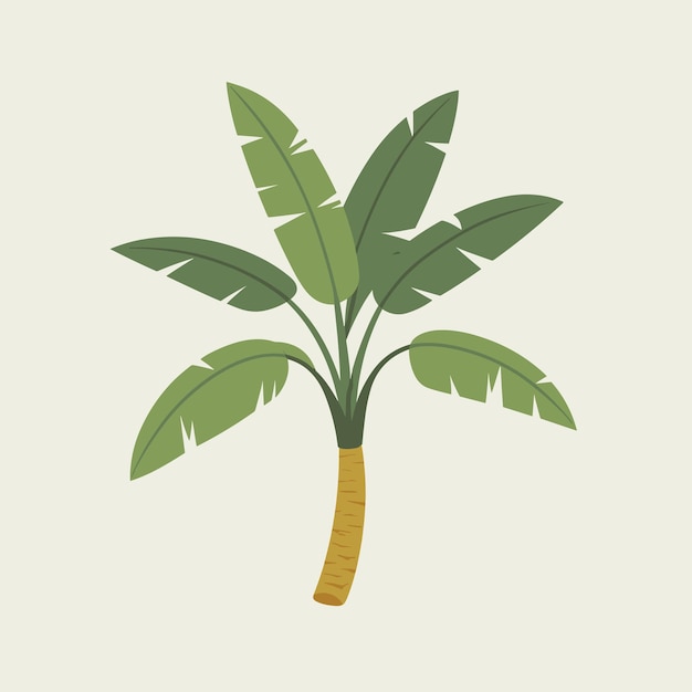 vecteur d'arbre à banane