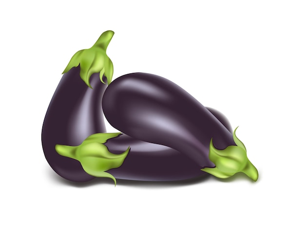 Vecteur. Aubergines