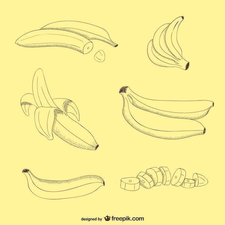 Vecteur vecteur de banane libre