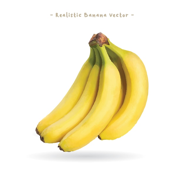 Vecteur vecteur de banane réaliste