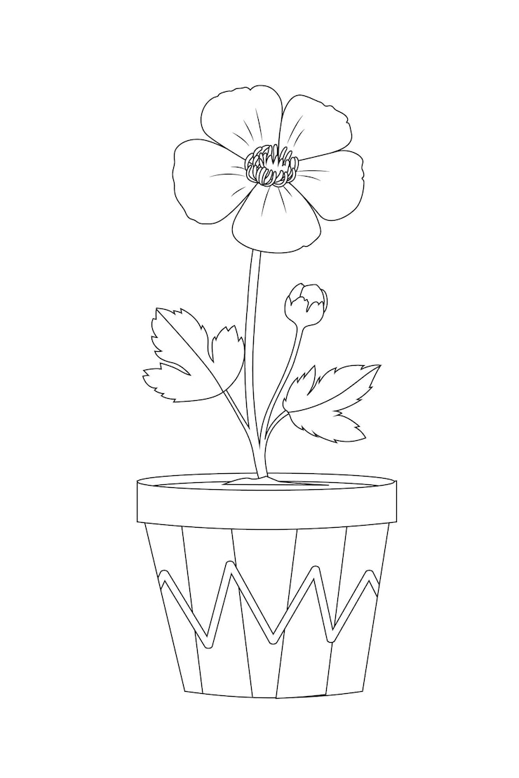 Vecteur vecteur belle collection de plantes d'intérieur de fleurs organiques avec page de coloriage de pot de conception