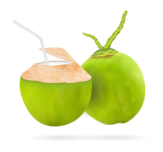 vecteur de boisson de noix de coco
