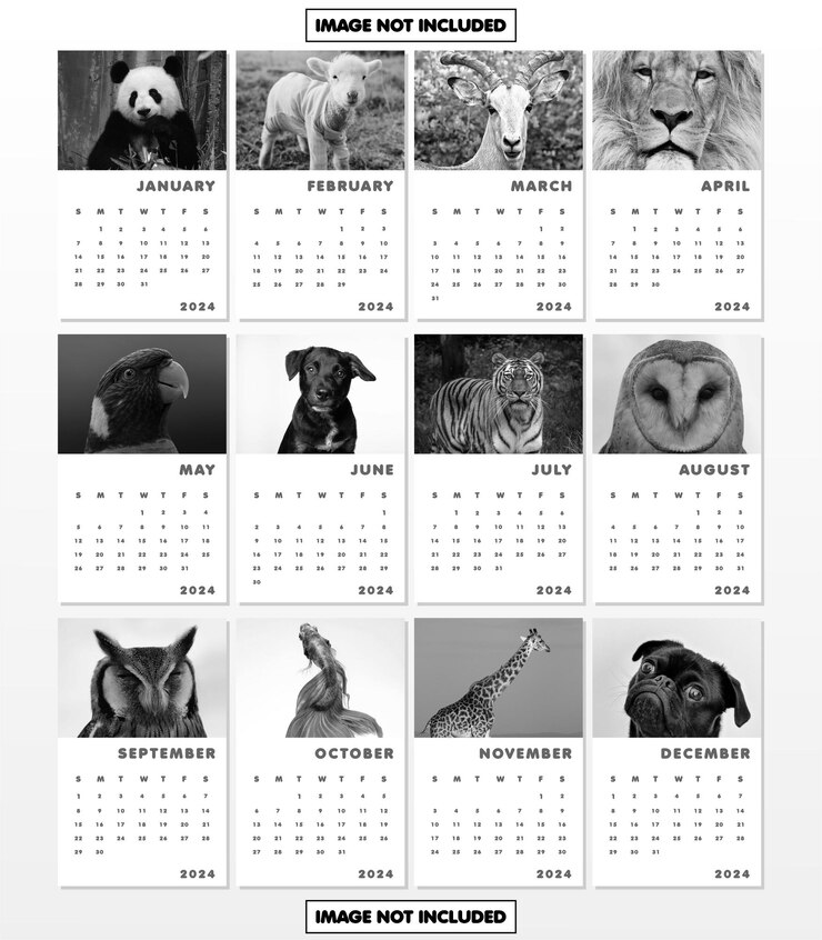 Vecteur vecteur de calendrier de conception simple 2024