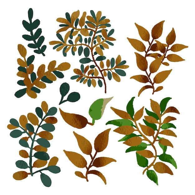 Vecteur vecteur de collection aquarelle avec différents types de feuilles sur fond blanc