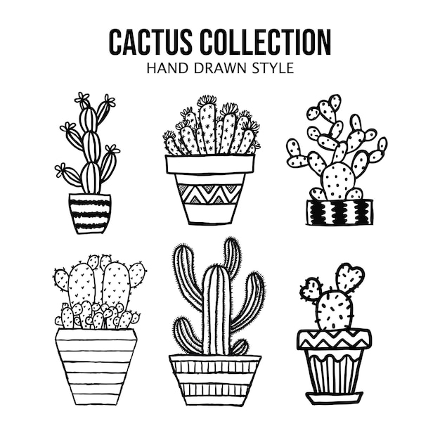 Vecteur De La Collection De Cactus Dessinée à La Main