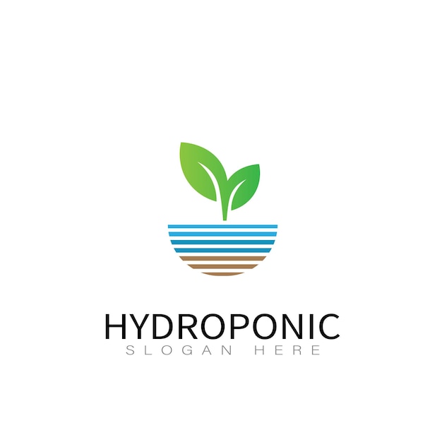 Vecteur De Conception De Logo De Légumes Hydroponiques