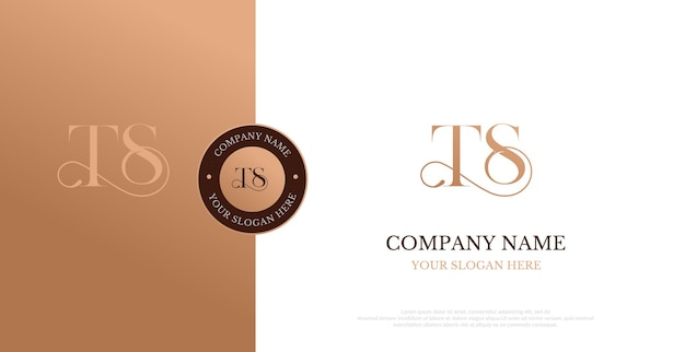 Vecteur de conception de logo TS initial