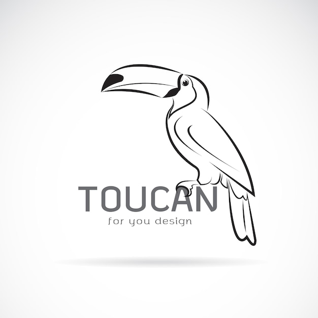 Vecteur de conception d'oiseau toucan sur fond blanc Animaux Illustration vectorielle en couches modifiable facile