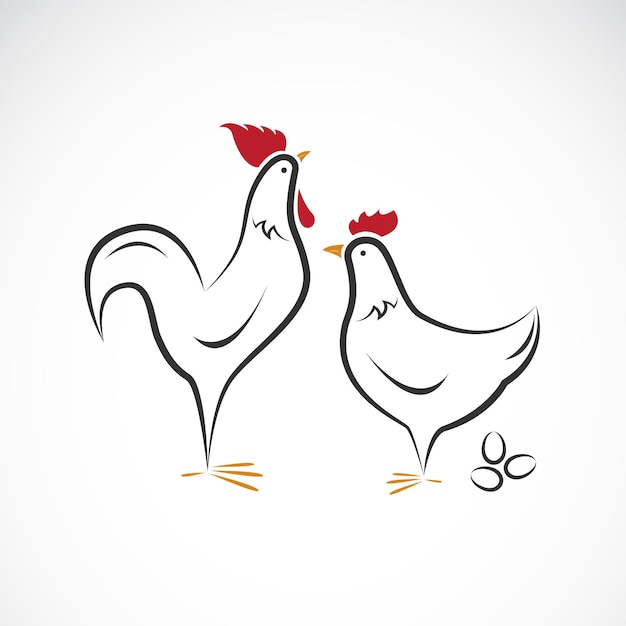 Vecteur de conception de poulets mâles et femelles sur fond blanc Ferme d'animaux Coq et poule Illustration vectorielle en couches modifiable facile