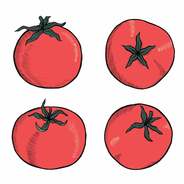 Vecteur vecteur de croquis de tomate de style doodle