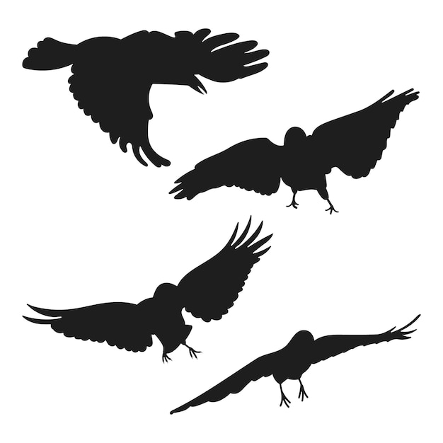 Vecteur Défini Corbeau Corbeau Corvus Vol Différent Pack De Silhouettes D'oiseaux Main Dessiner Vecteur Isolé