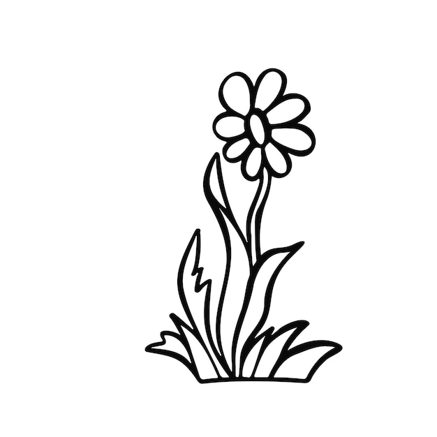 Vecteur de dessin animé contour plante fleur camomille