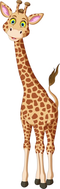 Vecteur vecteur de dessin animé mignon girafe isolé