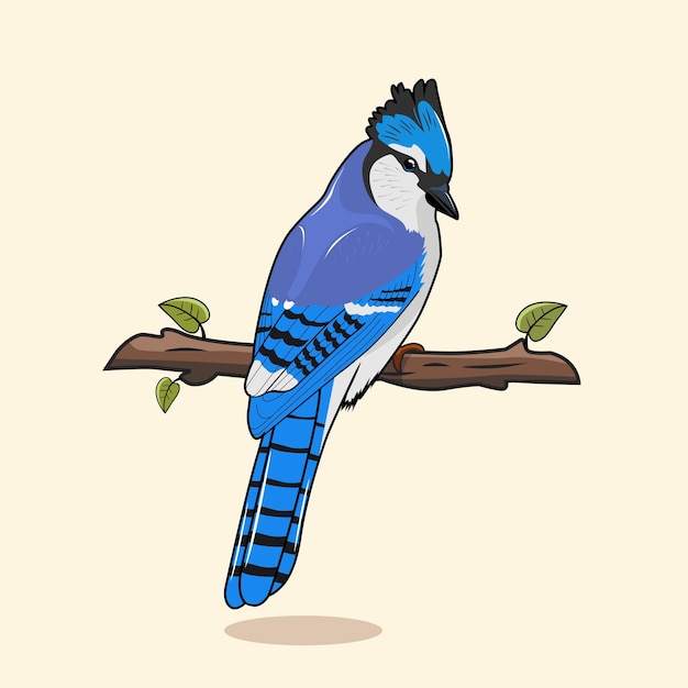 Vecteur De Dessin Animé D'oiseaux Geai Bleu