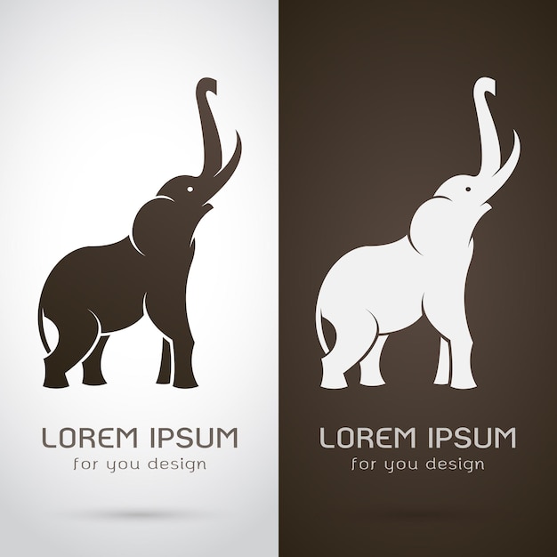 Vecteur d'un dessin d'éléphant sur fond blanc et fond marron Logo Symbole