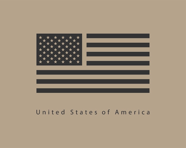 Vecteur de drapeau américain. Symbole des États-Unis d'Amérique de style moderne. Élément de conception de bannière américaine.