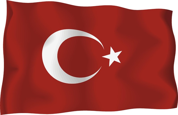 Vecteur De Drapeau De La Turquie