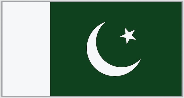 Vecteur vecteur du drapeau pakistanais