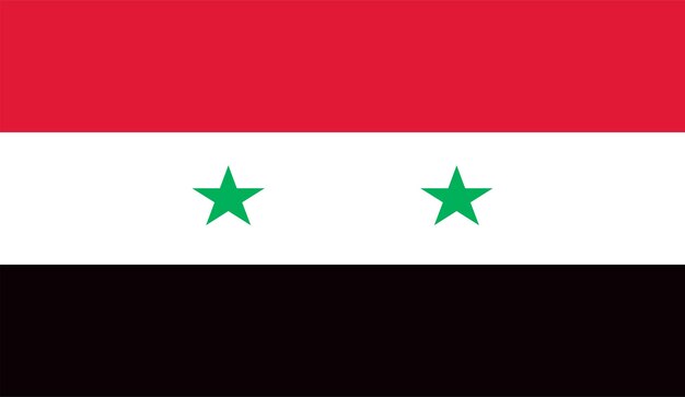 Vecteur Du Drapeau De La Syrie