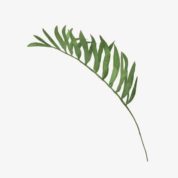 Vecteur d'élément de collage de branche de feuille de palmier