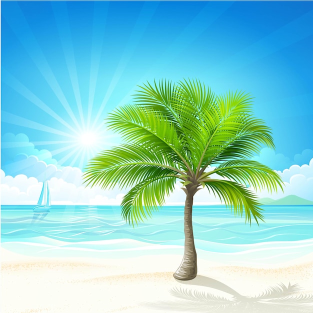 Vecteur d'élément de plage d'été